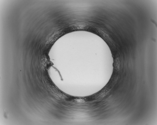 X0000099300509200805301136