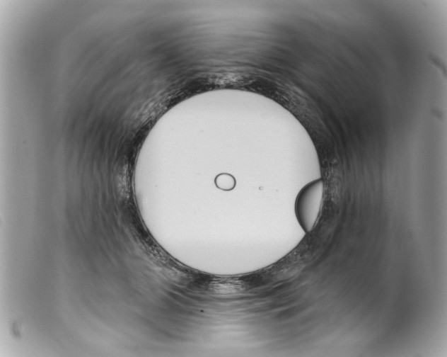 X0000099300510200805301136