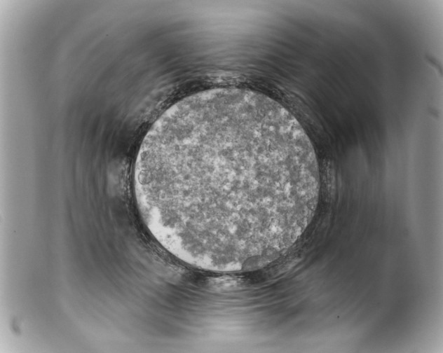 X0000099300511200805301136