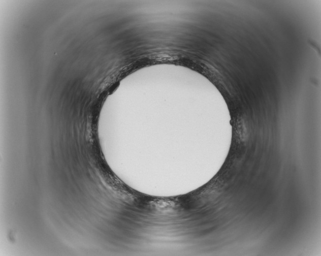 X0000099300512200805301136