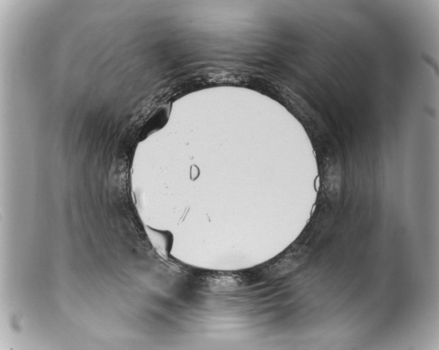 X0000099300513200805301136