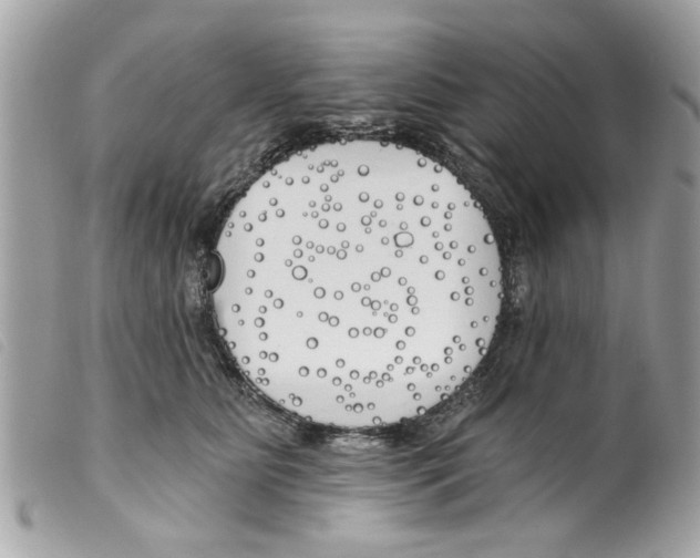 X0000099300515200805301136