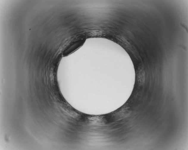 X0000099300516200805301136