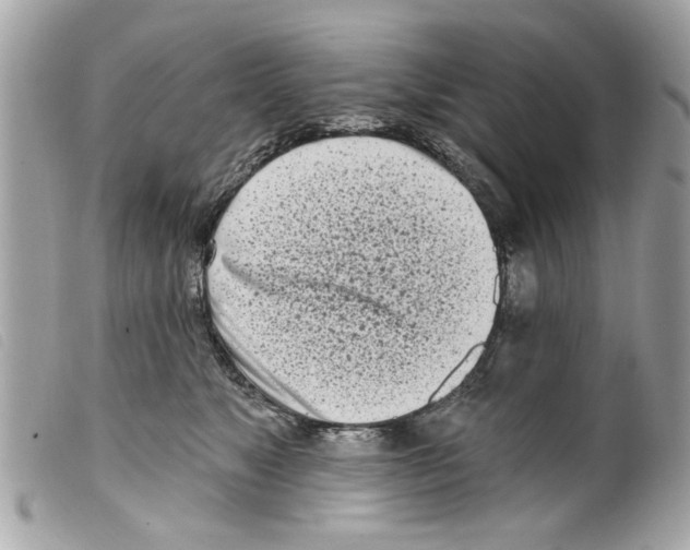 X0000099300517200805301136