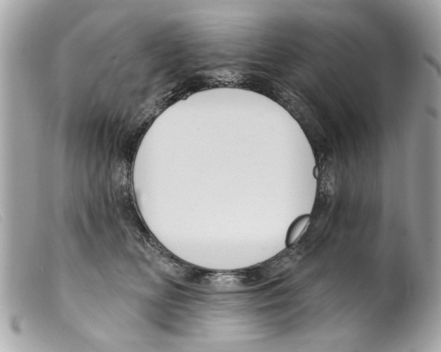 X0000099300518200805301136