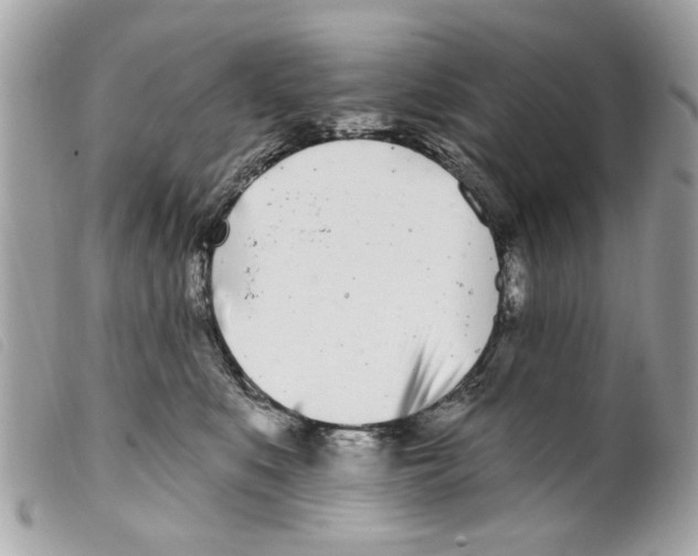 X0000099300519200805301136
