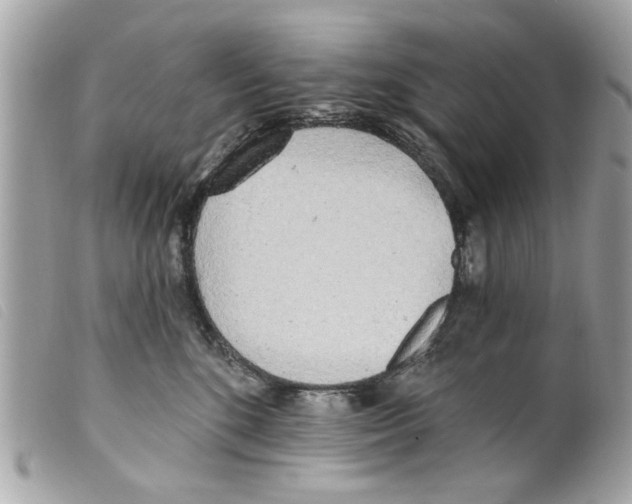 X0000099300520200805301136