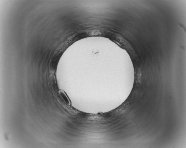 X0000099300521200805301136