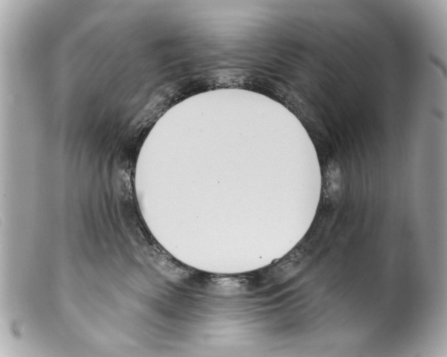 X0000099300522200805301136