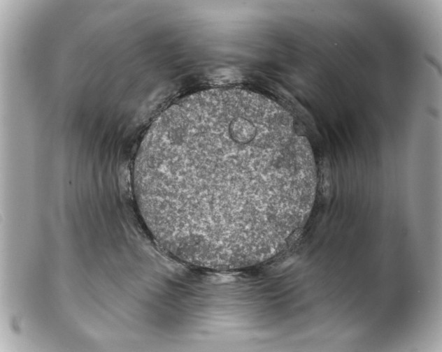 X0000099300523200805301136