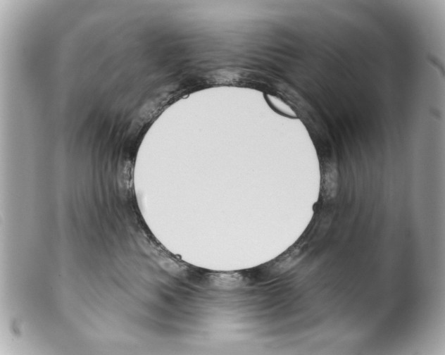 X0000099300525200805301136