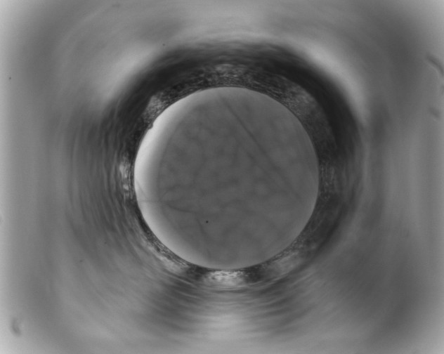 X0000099300526200805301136