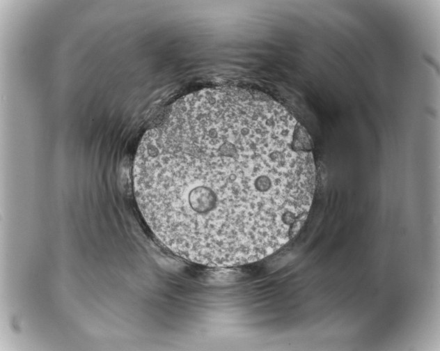 X0000099300527200805301136