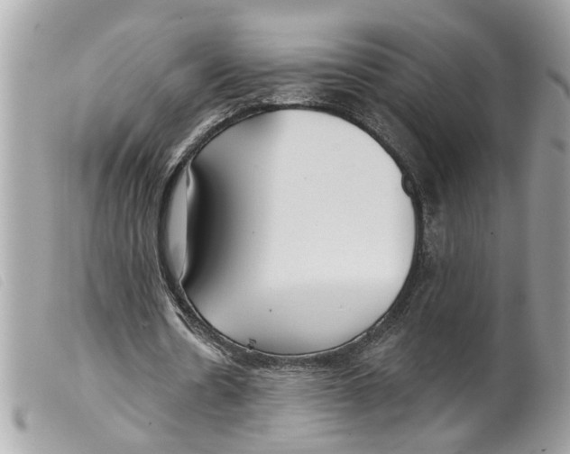 X0000099300530200805301135