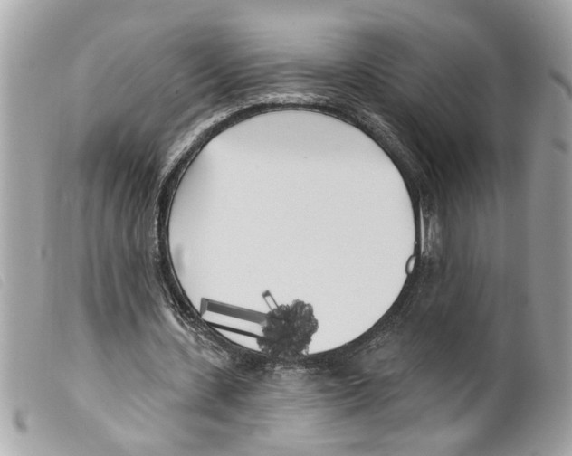 X0000099300531200805301135