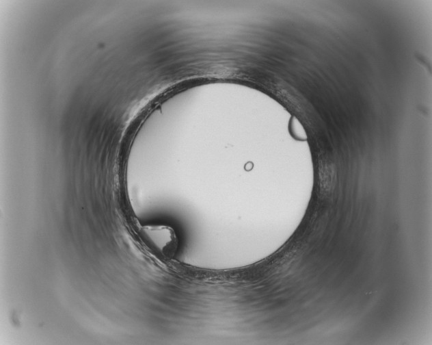 X0000099300532200805301135