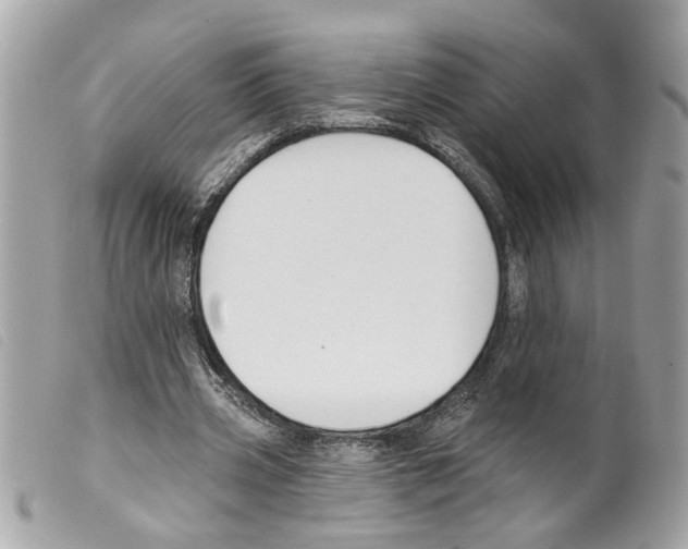 X0000099300533200805301135