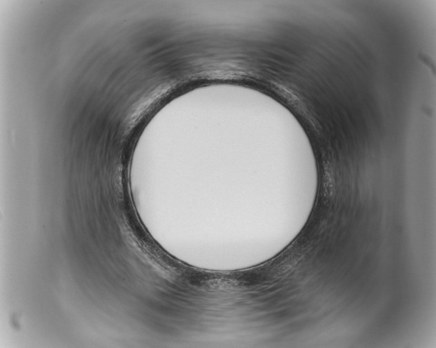 X0000099300535200805301135