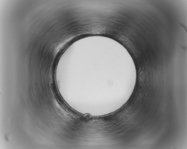 X0000099300536200805301135