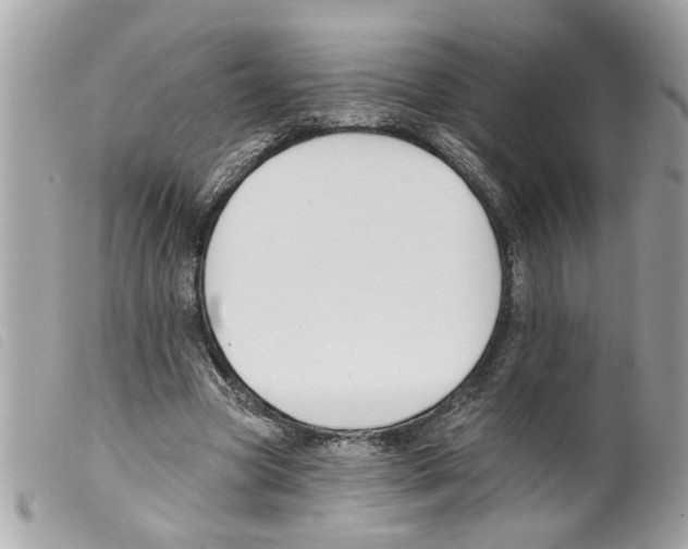 X0000099300537200805301135