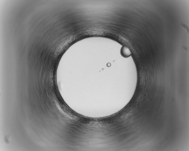 X0000099300538200805301135