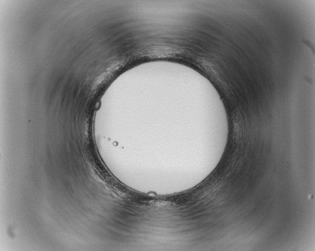 X0000099300539200805301135