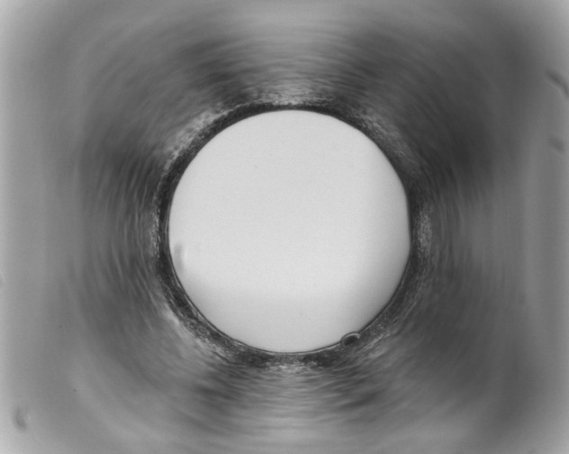 X0000099300540200805301135