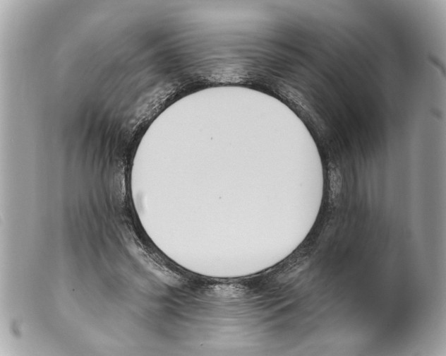 X0000099300541200805301135