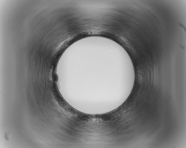 X0000099300543200805301135