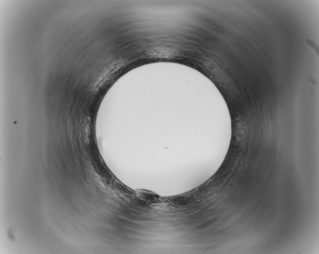 X0000099300544200805301135