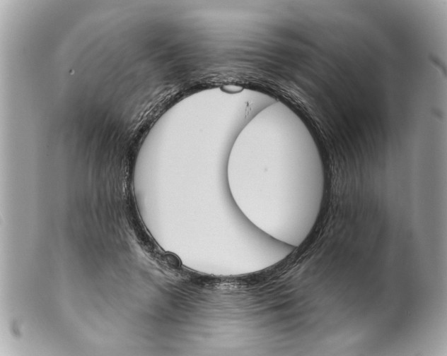 X0000099300546200805301135