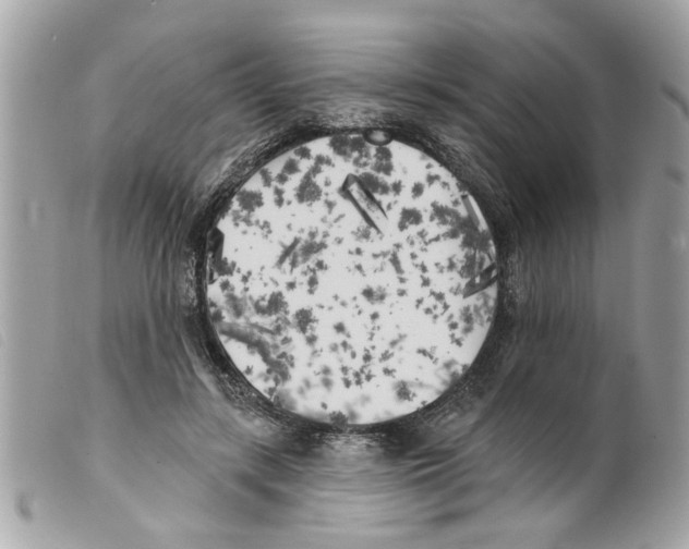 X0000099300547200805301135