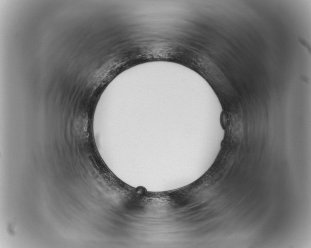 X0000099300548200805301135