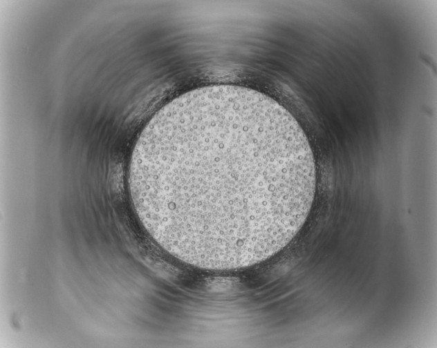 X0000099300549200805301135