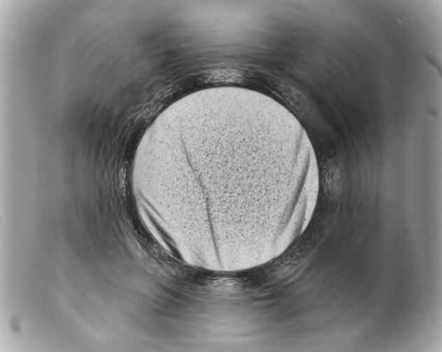 X0000099300551200805301135