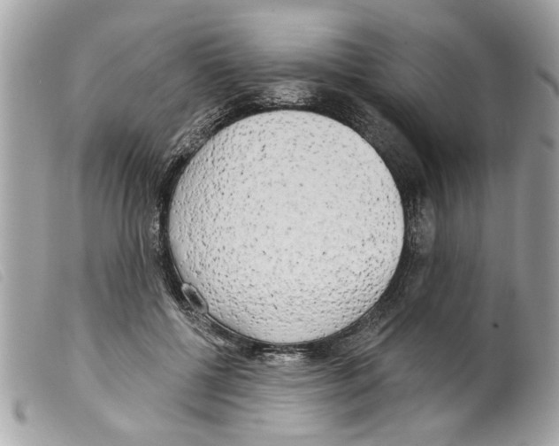 X0000099300552200805301135
