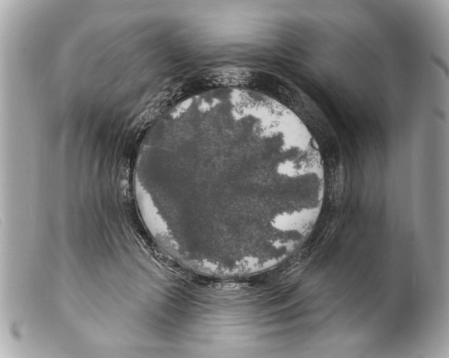 X0000099300553200805301135