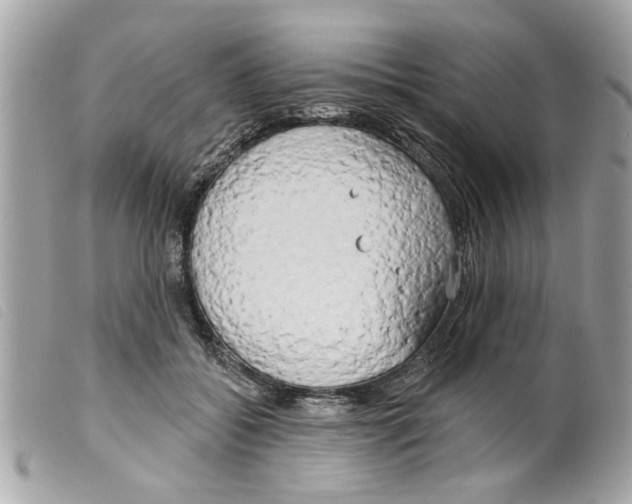 X0000099300556200805301135