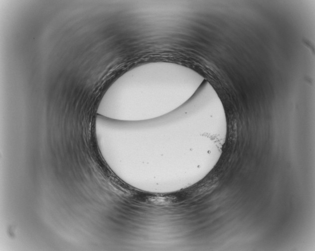 X0000099300558200805301135