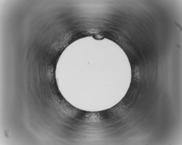 X0000099300559200805301135