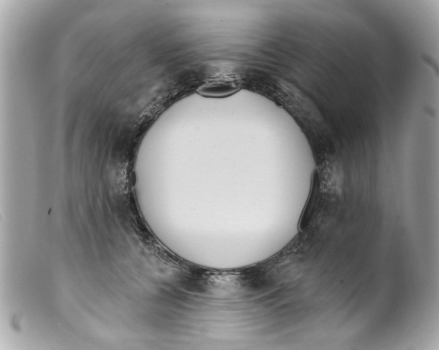 X0000099300560200805301135