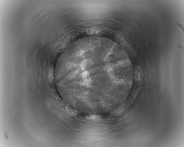 X0000099300561200805301135