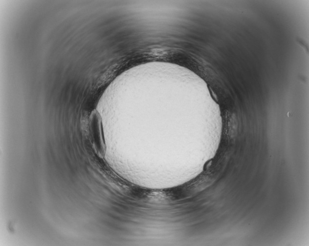 X0000099300562200805301135