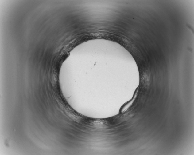 X0000099300566200805301135