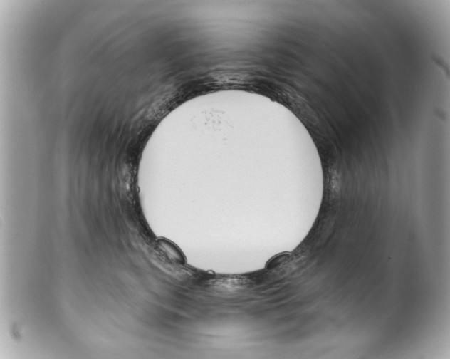 X0000099300567200805301135