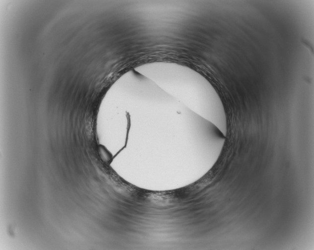 X0000099300568200805301135