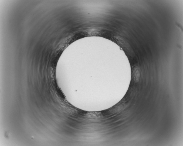 X0000099300571200805301136