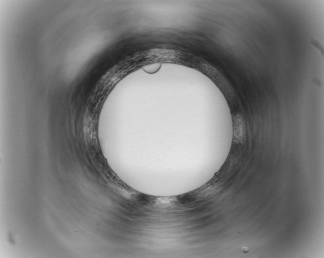 X0000099300573200805301136