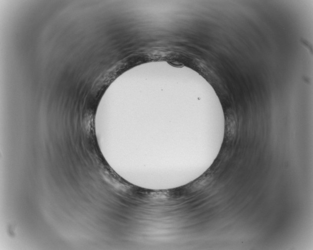 X0000099300574200805301136