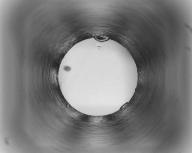 X0000099300575200805301136